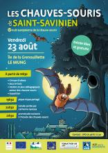 nuit chauve-souris 23/08/2019 à 16h30 Ile de la Grenouillette (Le Mung)