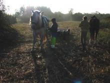 Les travaux de 2009