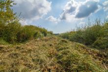 Après les travaux de fauche, la rouche ouvre à sur large horizon... Photo A.ORSEAU/LPO