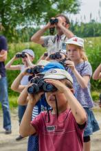 Photographie Alexis ORSEAU / LPO
